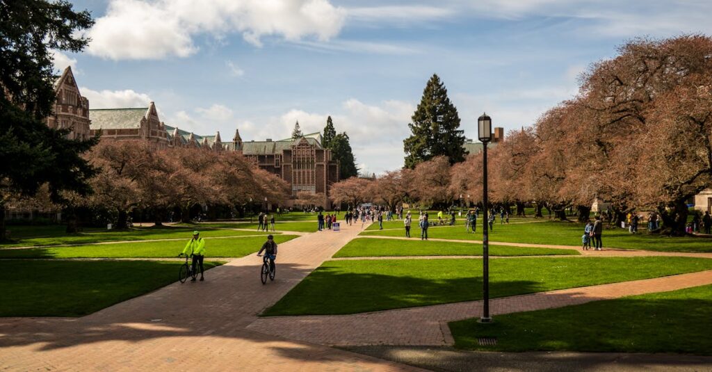 Scenic view of University of Washington campus with students and cherry blossoms on a sunny spring day.