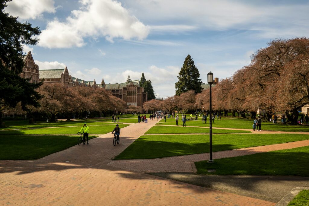 Scenic view of University of Washington campus with students and cherry blossoms on a sunny spring day.