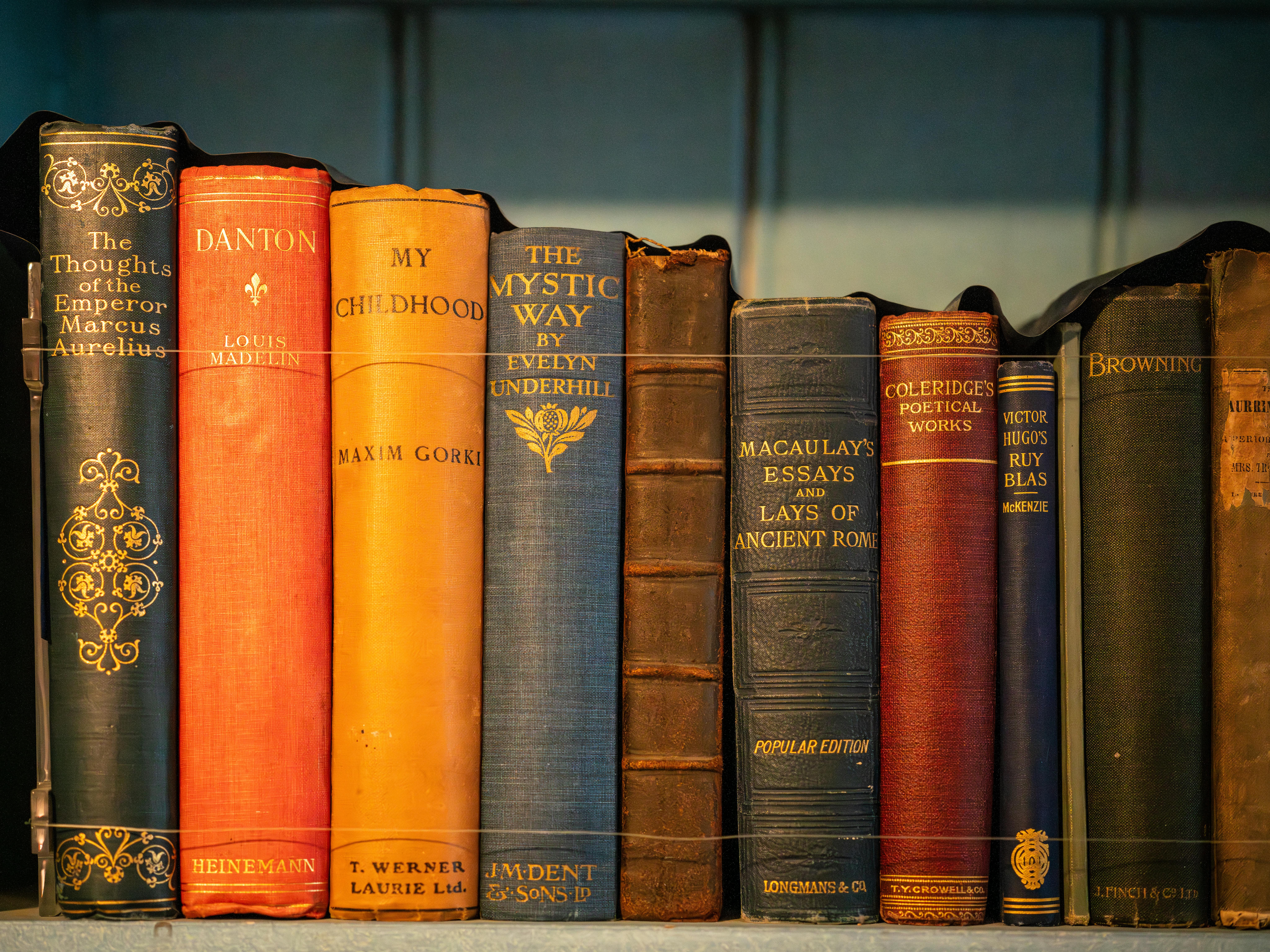 pexels photo 35642492 35642492